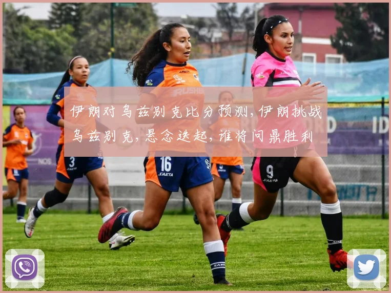 伊朗对乌兹别克比分预测,伊朗挑战乌兹别克,悬念迭起,谁将问鼎胜利